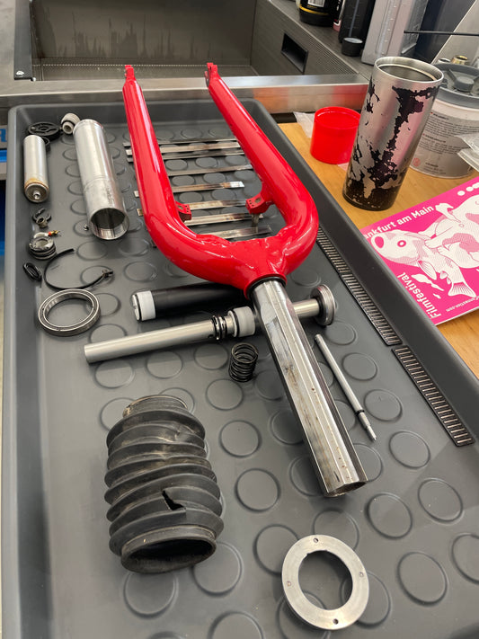 Maintenance / service on Cannondale Fatty Headshock suspension fork incl. telescopic / needle bearing